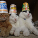 Illustration for article titled Let These Amusing Japanese Internet Photos Brighten Your Day